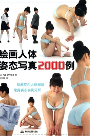 2000 2000