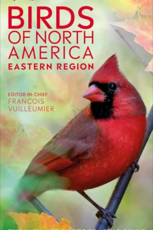 amnh birds of north america eastern dk north american bird guides