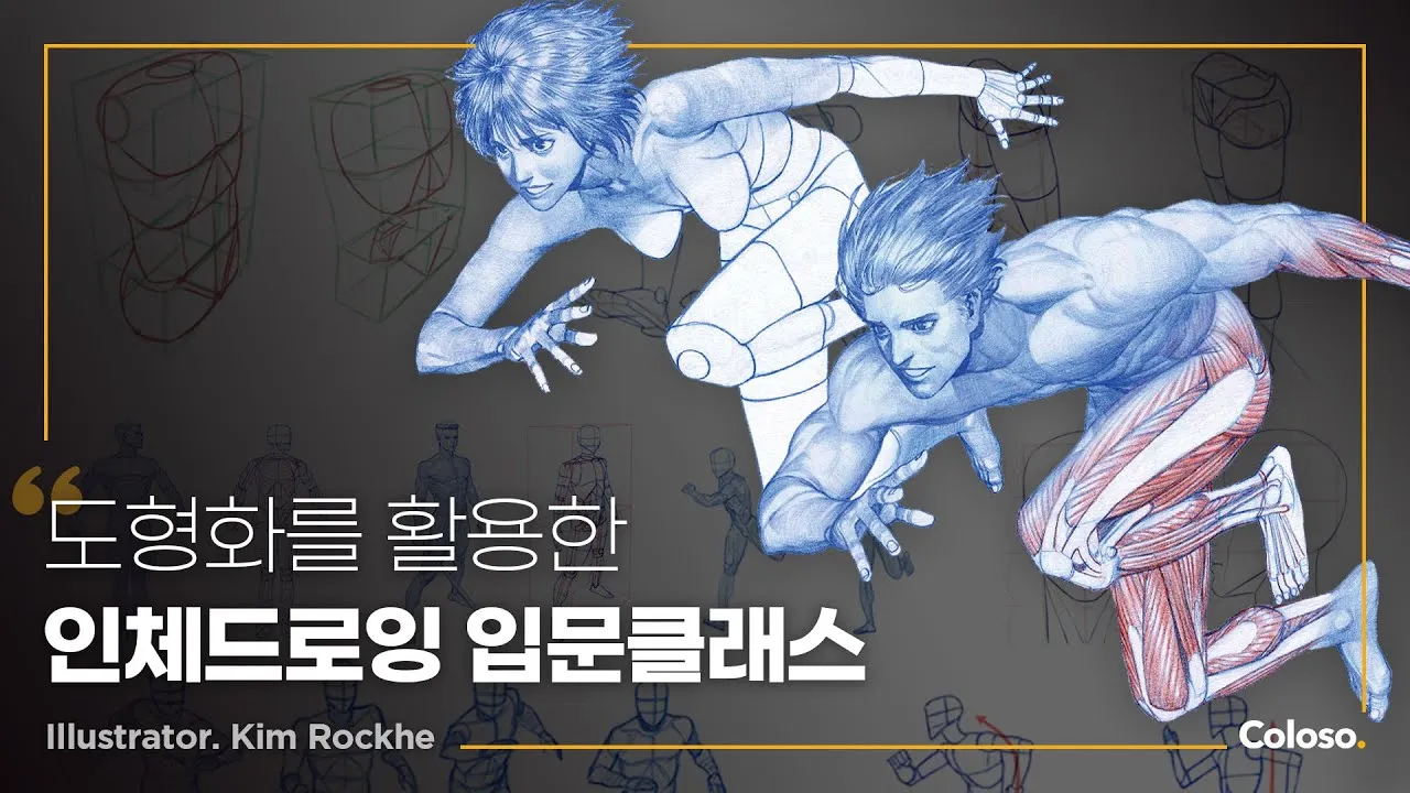 anatomy drawing class by rockhe kim for beginners 1