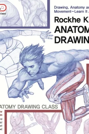anatomy drawing class by rockhe kim for beginners english ver
