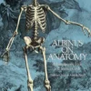 albinus on anatomy dover anatomy for artists