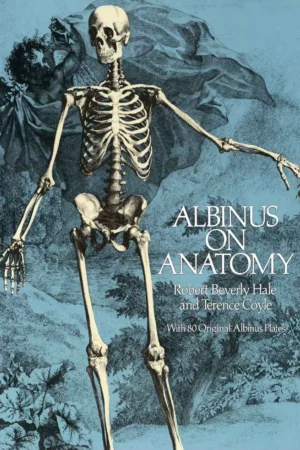 albinus on anatomy dover anatomy for artists