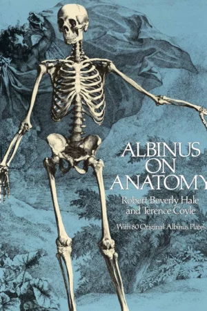 albinus on anatomy dover anatomy for artists 1