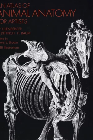 an atlas of animal anatomy for artists dover anatomy for artists 1