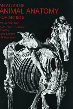 an atlas of animal anatomy for artists dover anatomy for artists