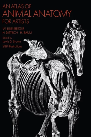 an atlas of animal anatomy for artists by ellenberger w new impression edition