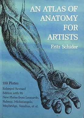 an atlas of anatomy for artists2