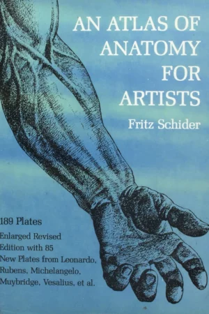 an atlas of anatomy for artists 1 3