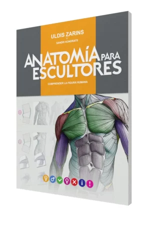 anatoma para escultores comprender la figura humana 1