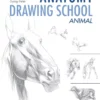 anatomy drawing school animal anatomy