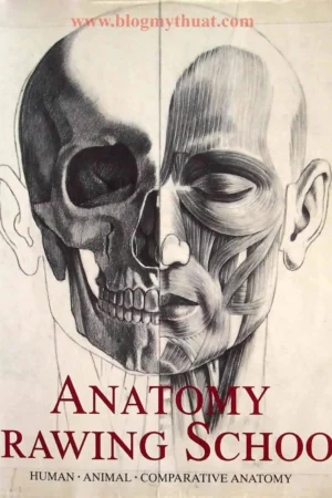 anatomy drawing school human volume 1 
