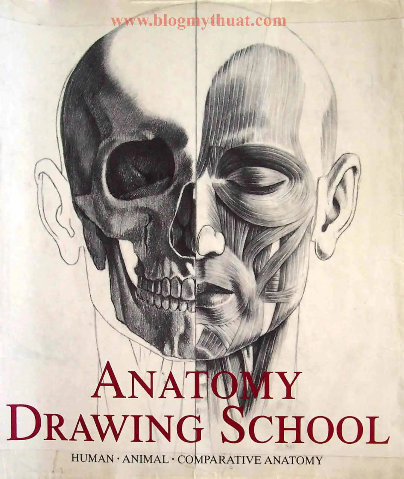 anatomy drawing school human volume 1