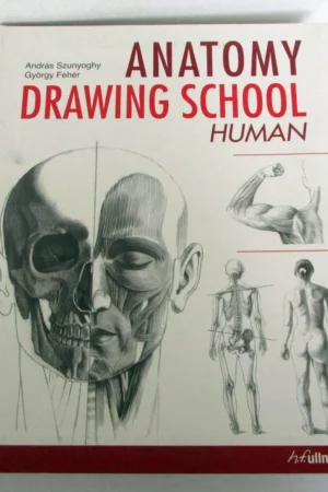 anatomy drawing school human volume 1