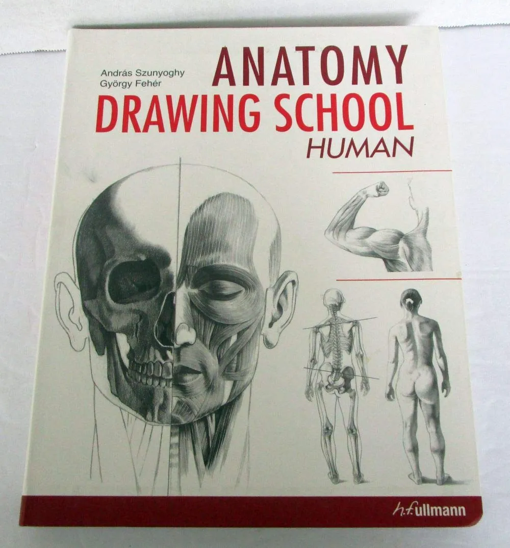 anatomy drawing school human volume 1