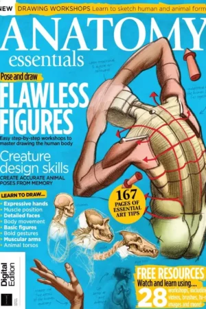 anatomy essentials drawing workshops flawless figures creature design skills