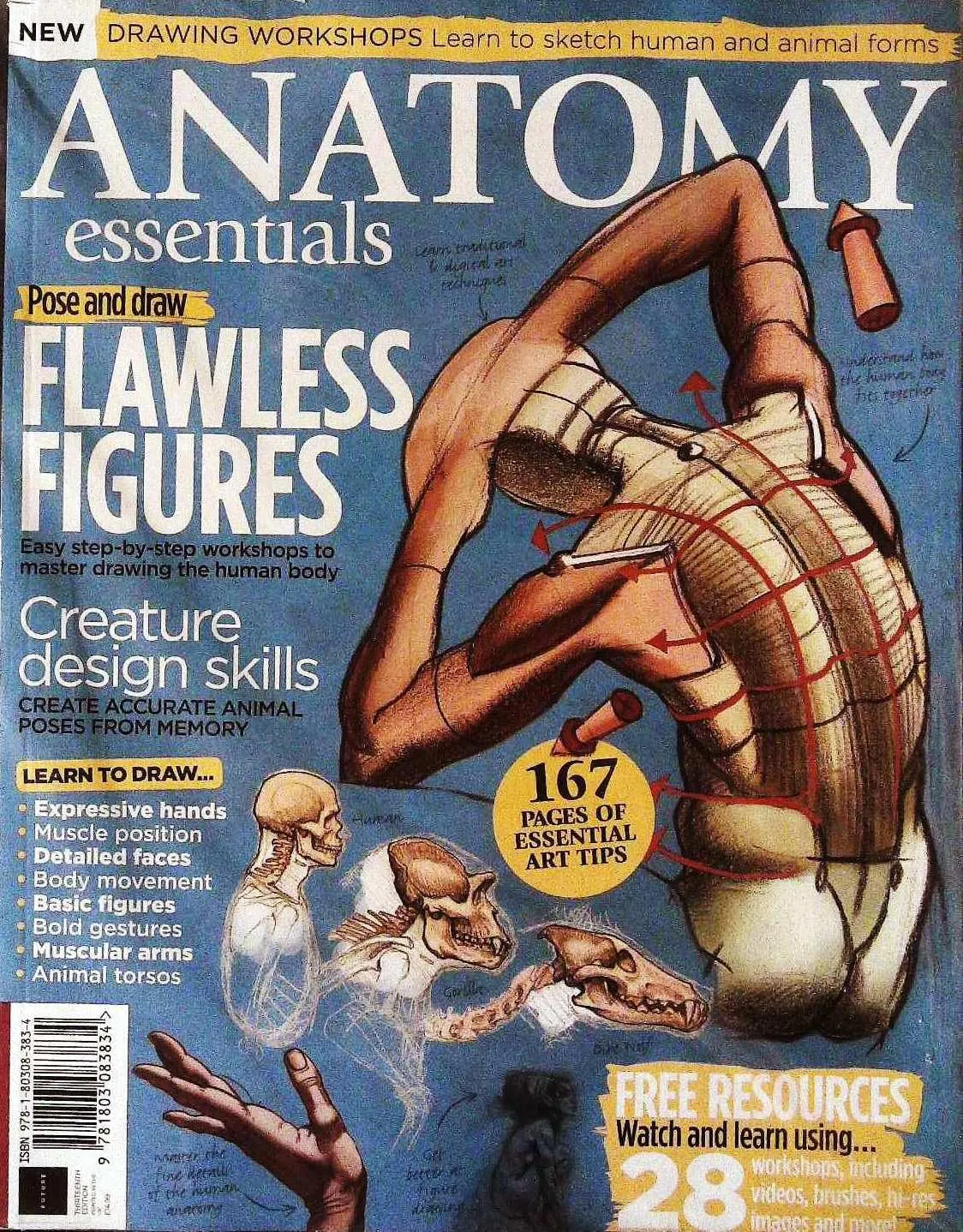 anatomy essentials drawing workshops flawless figures creature design skills 1