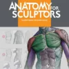 anatomy for sculptors understanding the human figure 1