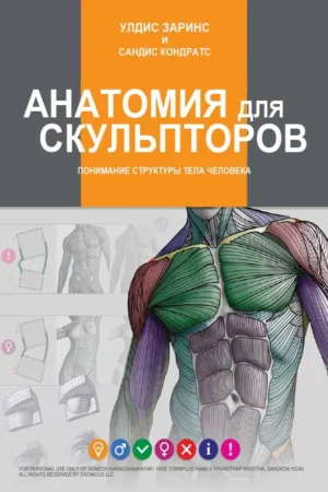 anatomy for sculptors understanding the human figure 2