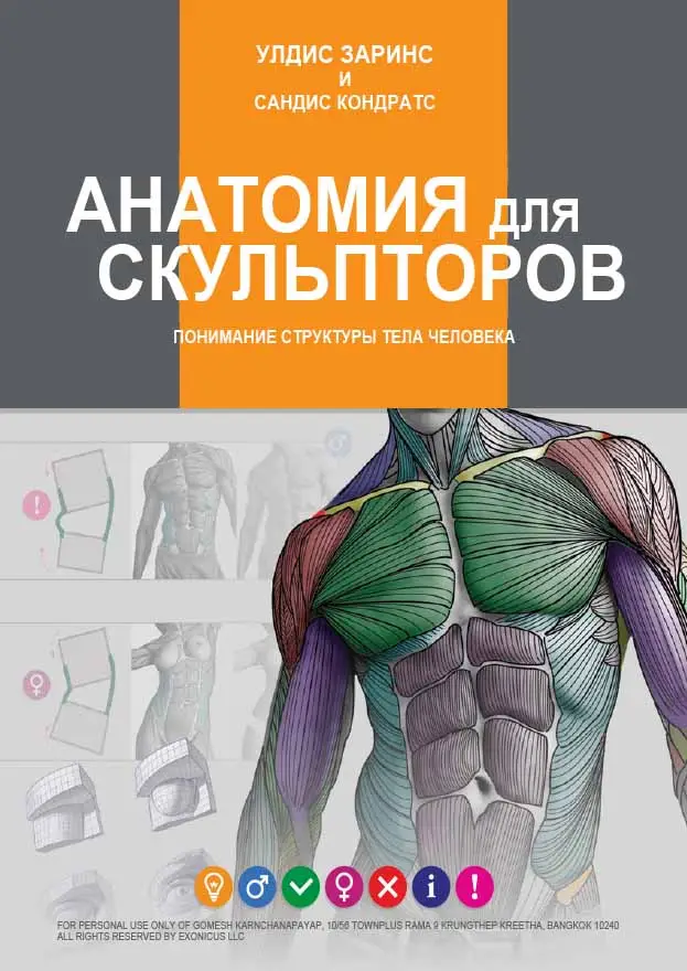 anatomy for sculptors understanding the human figure 2