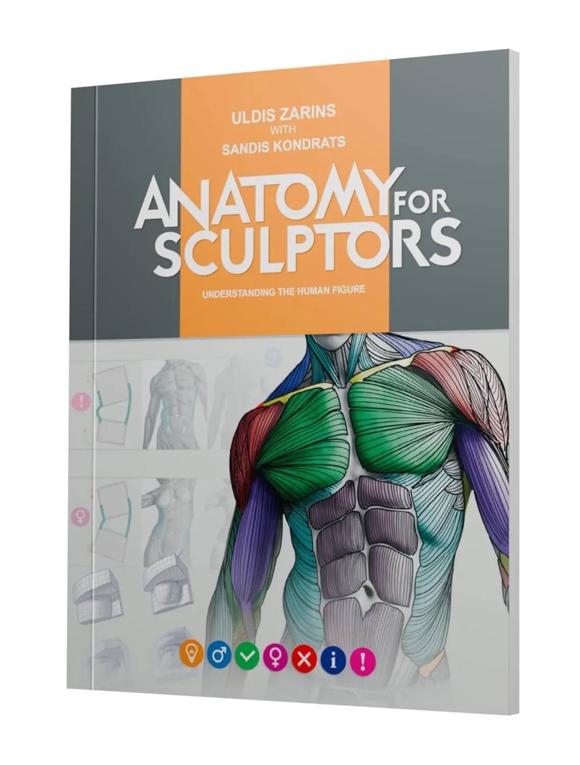 anatomy for sculptors understanding the human figure 2 1