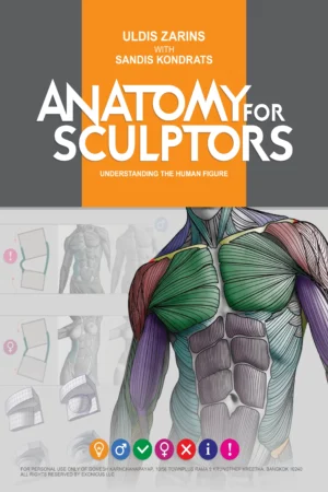 anatomy for sculptors understanding the human figure