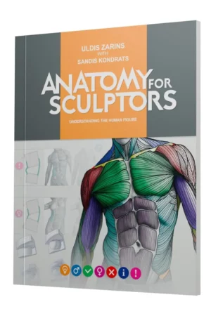 anatomy for sculptors understanding the human figure 1