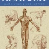 anatomy made simple for artists