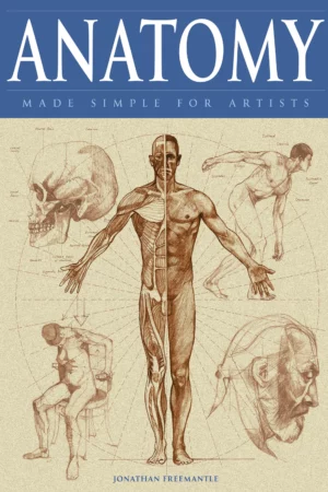 anatomy made simple for artists