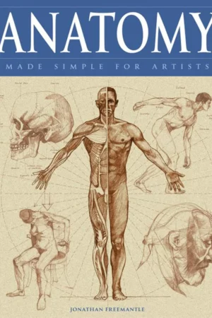 anatomy made simple for artists 1