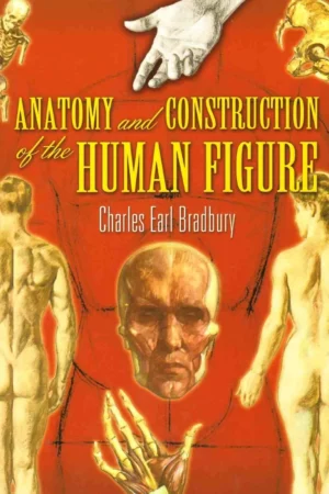 anatomy and construction of the human figure dover art instruction