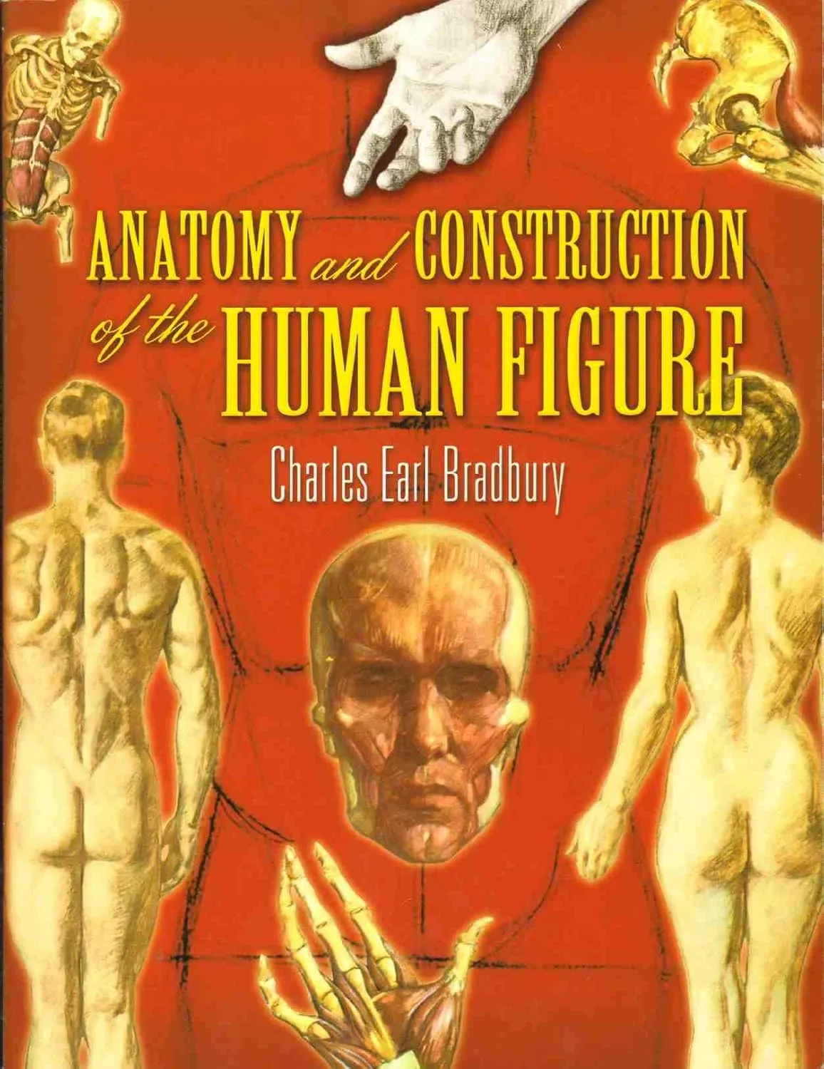 anatomy and construction of the human figure dover art instruction