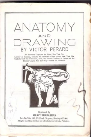 anatomy and drawing 