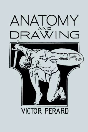 anatomy and drawing