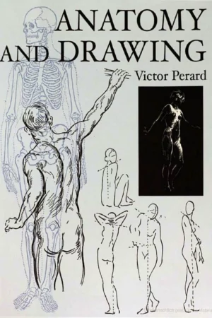 anatomy and drawing dover art instruction 