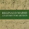 anatomy for artists