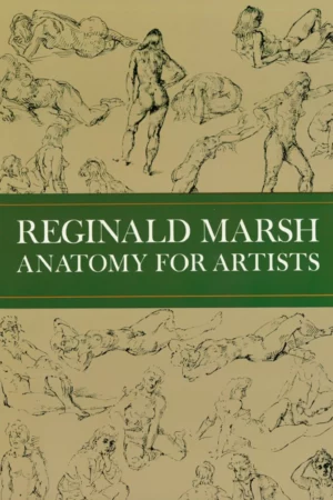 anatomy for artists