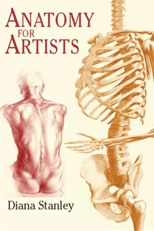 anatomy for artists dover anatomy for artists