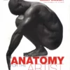 anatomy for the artist