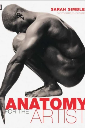 anatomy for the artist