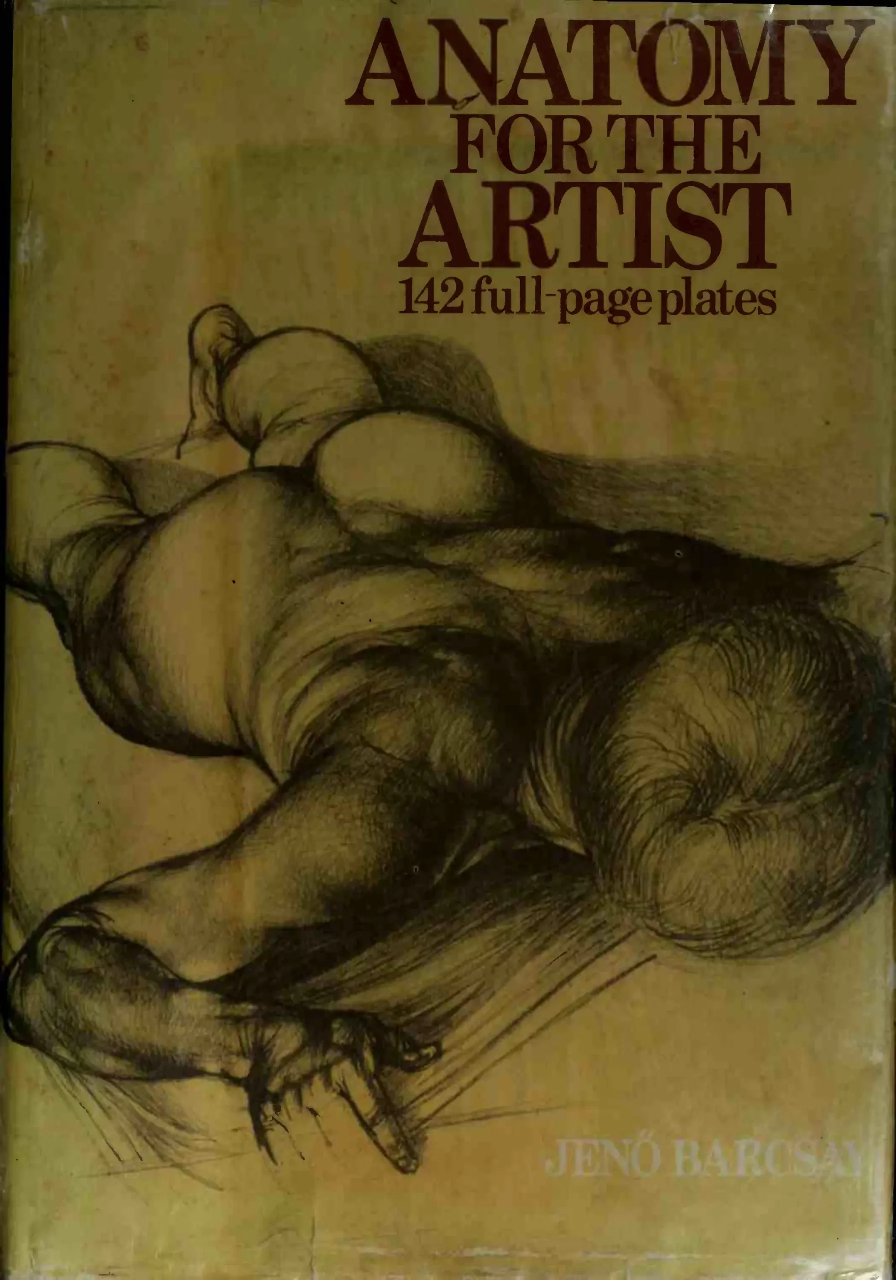 anatomy for the artist spiral edition