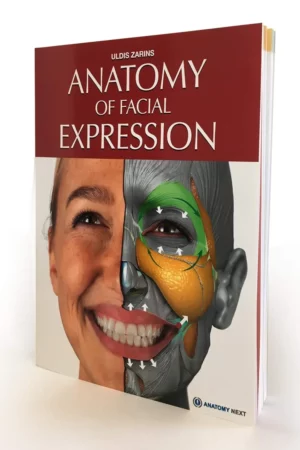 anatomy of facial expression 1