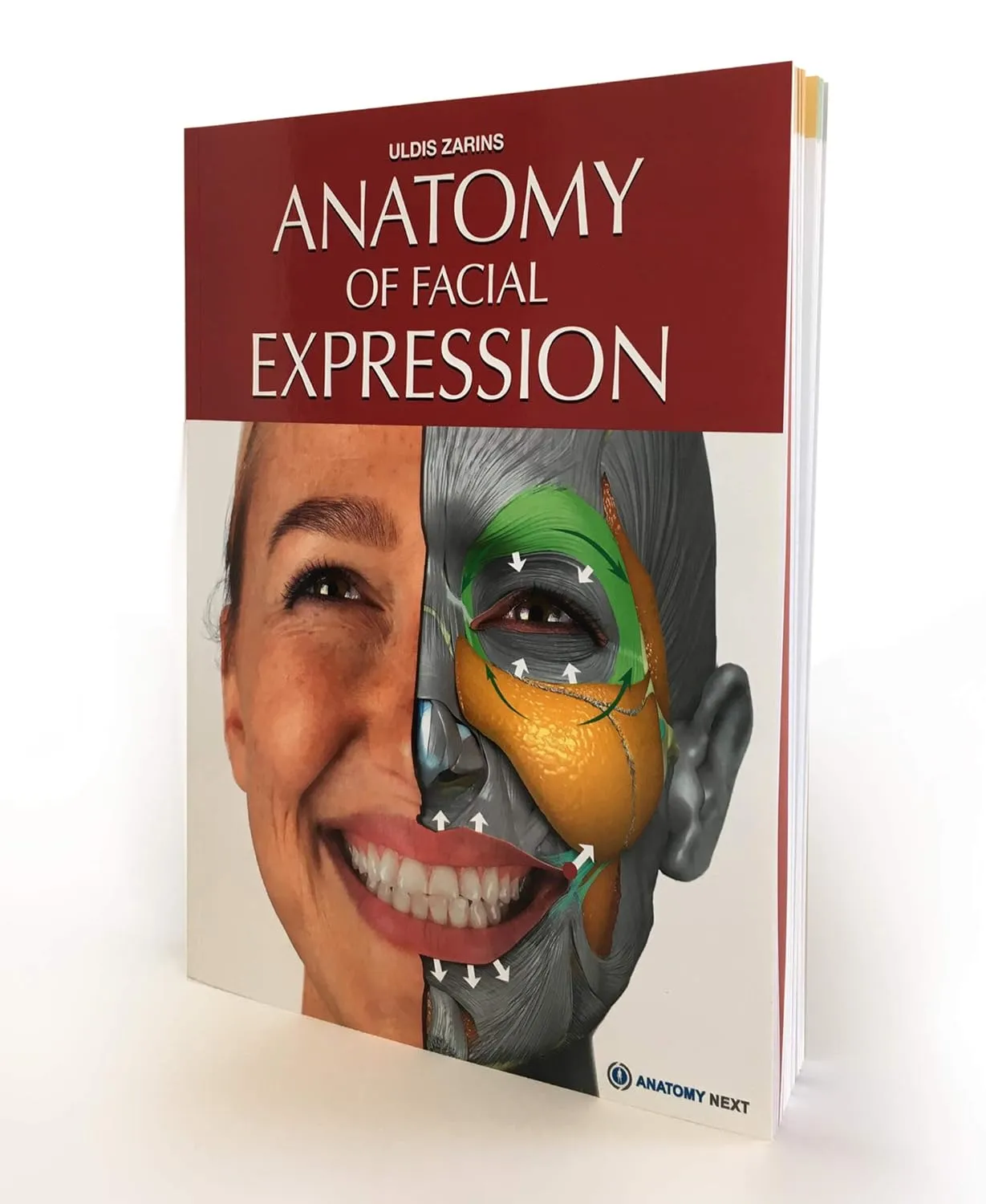 anatomy of facial expression 1