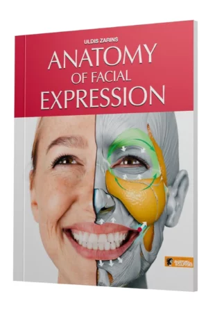 anatomy of facial expressions 1