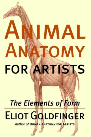 animal anatomy for artists 1