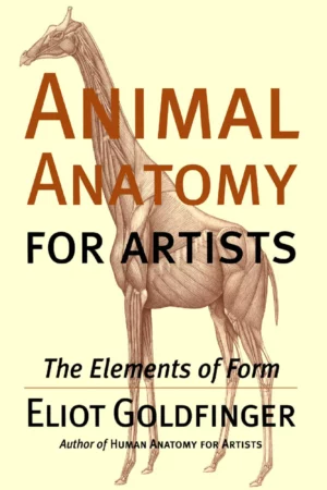 animal anatomy for artists the elements of form 1