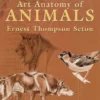 art anatomy of animals