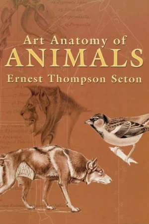 art anatomy of animals