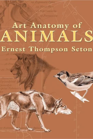 art anatomy of animals dover anatomy for artists