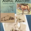 artists guide to animal anatomy