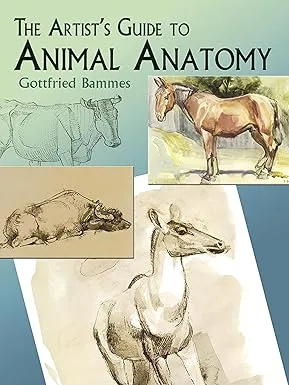 artists guide to animal anatomy2